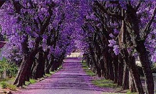 Abandonar el tener razón. Marzo 22, 2008.