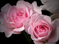 Deseos egoístas. Marzo 4, 2008.