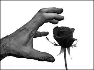 Abril 5,2008. Corazones iracundos.