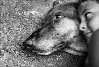 Amar sin razón. Agosto 22, 2008.