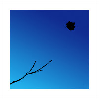 Agosto 27 de agosto 2008. Pedir a la Inversa