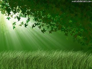 Las Buenas Cosas. Octubre 16, 2008.