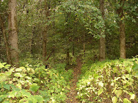 La supervivencia del más fuerte. Oct 3, 2008