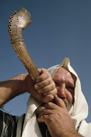 Mira alrededor. Octubre 8, 2008