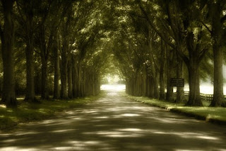 El amor lo logrará. Noviembre 25, 2008.