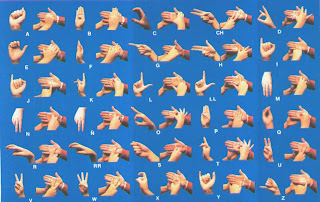 Mi i-pod descompuesto. Noviembre 20, 2008.