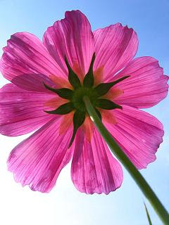 No quiero juzgar, pero… Diciembre 2, 2008