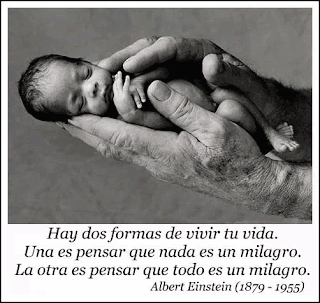 Anhelar La Vida. Diciembre 5, 2008