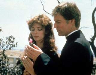 El amor es la solución. Enero 2, 2009.