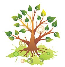 Recuerda el proceso. Febraro 9, 2009.