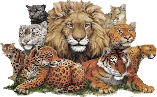 ¿Y como cambio? Febrero 6, 2009.