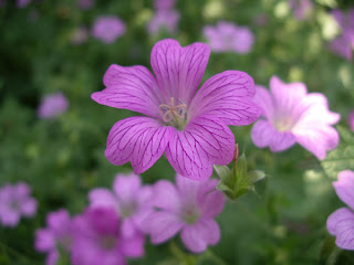 Igualar dentro y fuera. Febrero 27 2009.