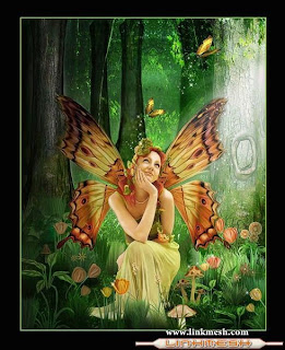 Mariposas. Marzo 15, 2009