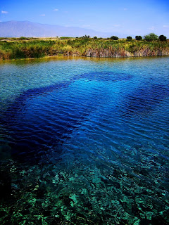 Mayo 7, 2009. Limpiar las aguas contaminadas