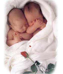 Mayo 24, 2009. Entiende el impacto