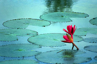 Mayo 6, 2009.  Amor valiente