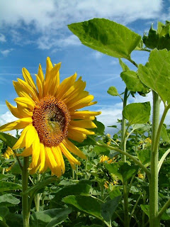 Junio 24, 2009. Vive cada momento