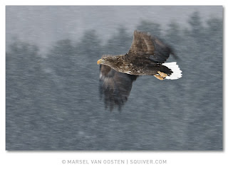 Agosto 13, 2009. El mejor resultado