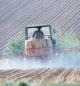 Agosto 17, 2009.  Intento de ayuda