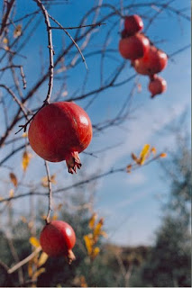 Septiembre 13, 2009. Un mal hábito