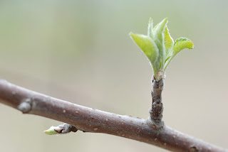 Noviembre 23, 2009. Abrir el Cofre.