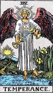 Diciembre 19, 2009. Hacer o no hacer.