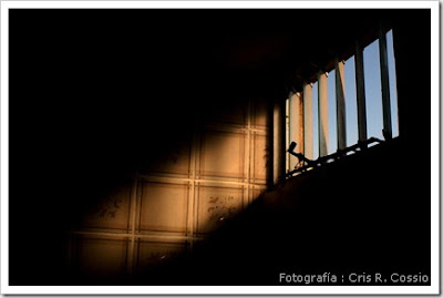 Diciembre 21, 2009. Fuego amigo.