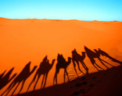 Enero 4, 2010. Tiempo de vivir.