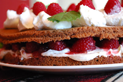 Enero 23, 2010. Rebanadita de realidad