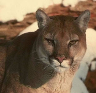 Febrero 16, 2010. Sin razón aparente