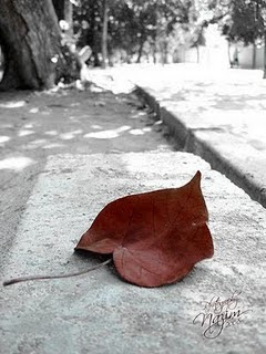 Fenbrero 8, 2010. ¿Qué es el tiempo?