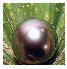 Febrero 28, 2010. Frotar dos varas