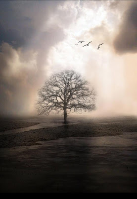 Marzo 23, 2010. Exige prueba.