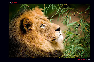 Marzo 7, 2010. Manteniéndote humilde