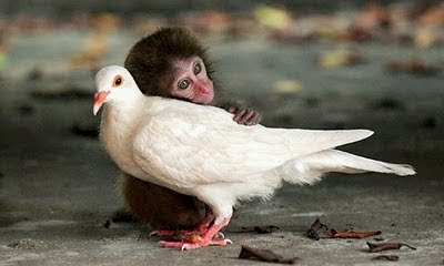 Abril 4, 2010. Busca amar