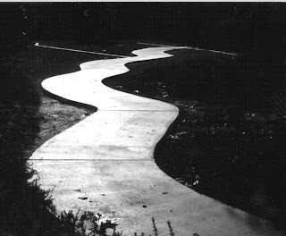 Julio 28, 2010. Designio dentro del desorden