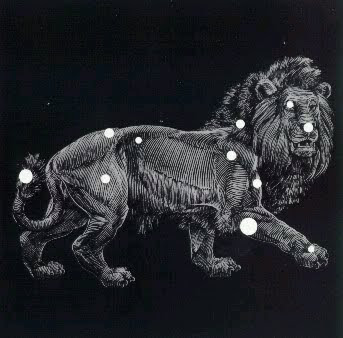 Disculpen la desconexión !!!