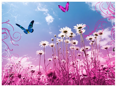 Agosto 18, 2010. Eleva tus milagros