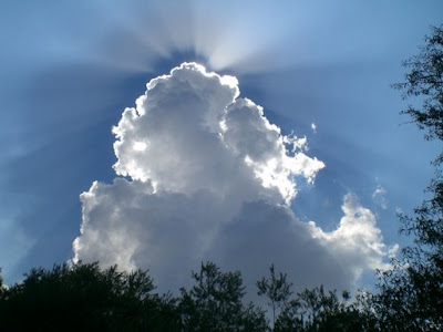 Septiembre 19, 2010. Realiza una acción desinteresada.