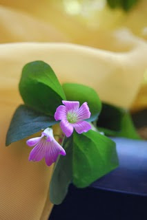 Septiembre 24, 2010. Creada desde adentro.