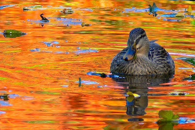 Septiembre 20, 2010. La Luz dentro de ti.