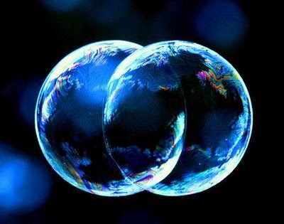 Octubre 6, 2010. Darán frutos.