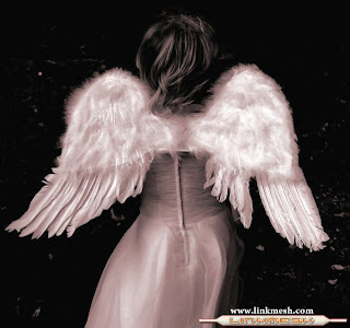 Noviembre 19, 2010. Haz piel nueva.