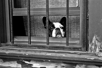 Noviembre 9, 2010. Muy ocupado.