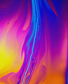 SÁBADO, 4 DE DICIEMBRE DE 2010. Milagros Incontables.