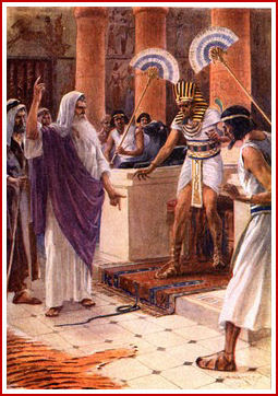 MIÉRCOLES, 29 DE DICIEMBRE DE 2010 .Utiliza una pala