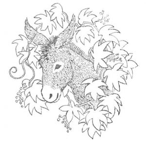 SÁBADO, 18 DE DICIEMBRE DE 2010. Grandeza