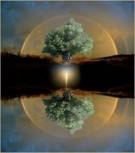 MARTES, 4 DE ENERO DE 2011 .Gracias por sus oraciones