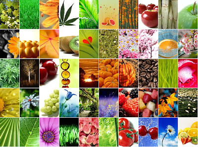 JUEVES, 20 DE ENERO DE 2011. El sacrificio trae resultados