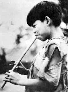 MIÉRCOLES, 16 DE MARZO DE 2011. Seguir al rebaño